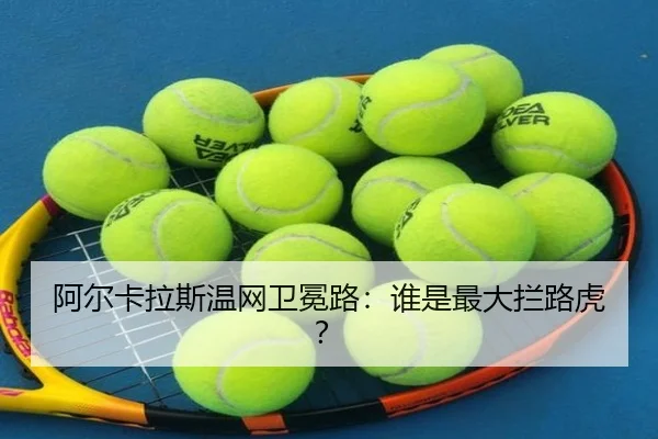 a-er-ka-la-si-wen-wang-wei-mian-lu-shui-shi-zui-da-lan-lu-hu-2-492.jpg